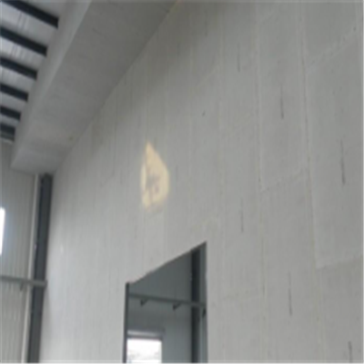 元氏宁波ALC板|EPS加气板隔墙与混凝土整浇联接的实验研讨